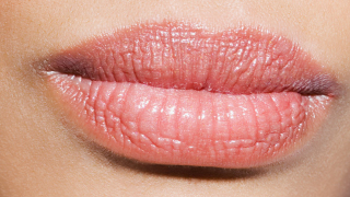 Illustration for article titled Lips.